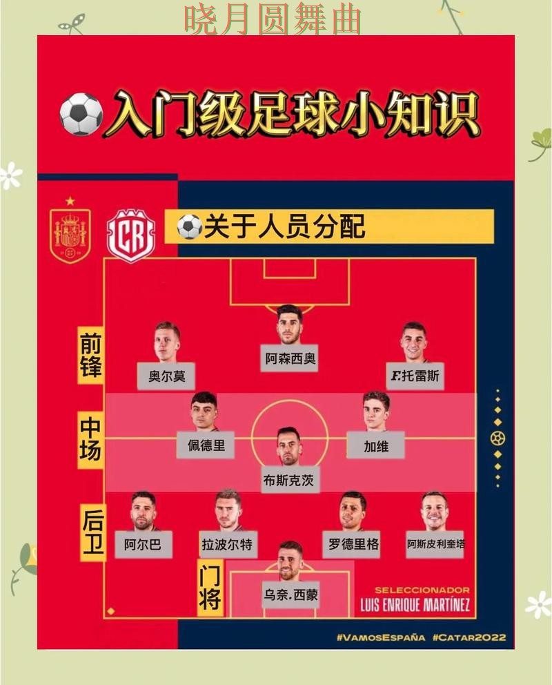 世界杯投注新手入门规则解析完整教学